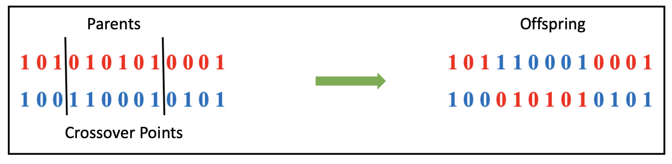 Two-Point Crossover